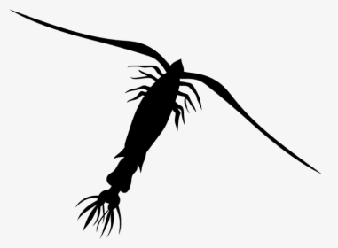 Data Src //cdn - Zooplankton Silhouette, HD Png Download, Transparent PNG